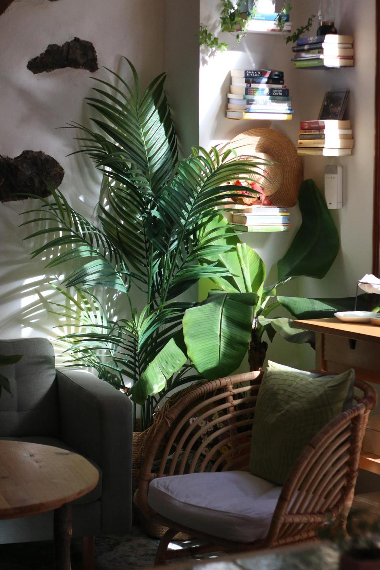 ホテル Banana Garden La Palma サンタ・クルス・デ・ラ・パルマ スペイン エクステリア 写真